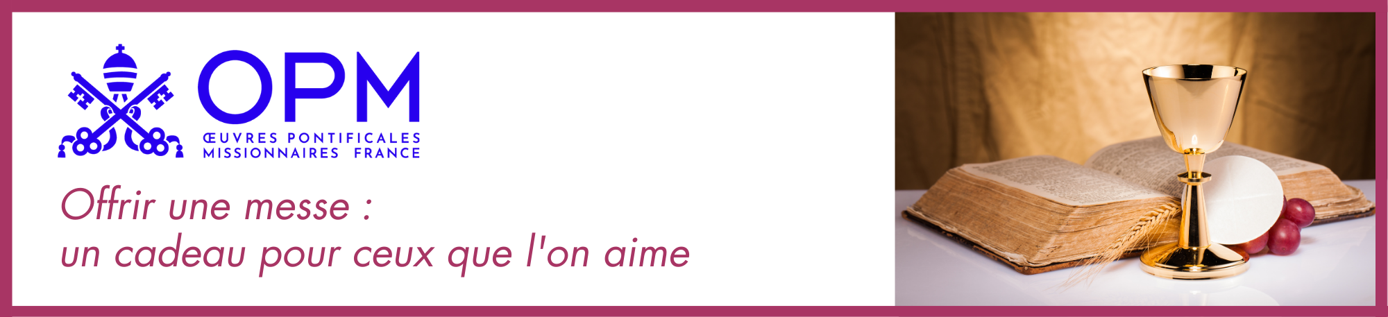 Bannière givexpert 35x8 cm (2)