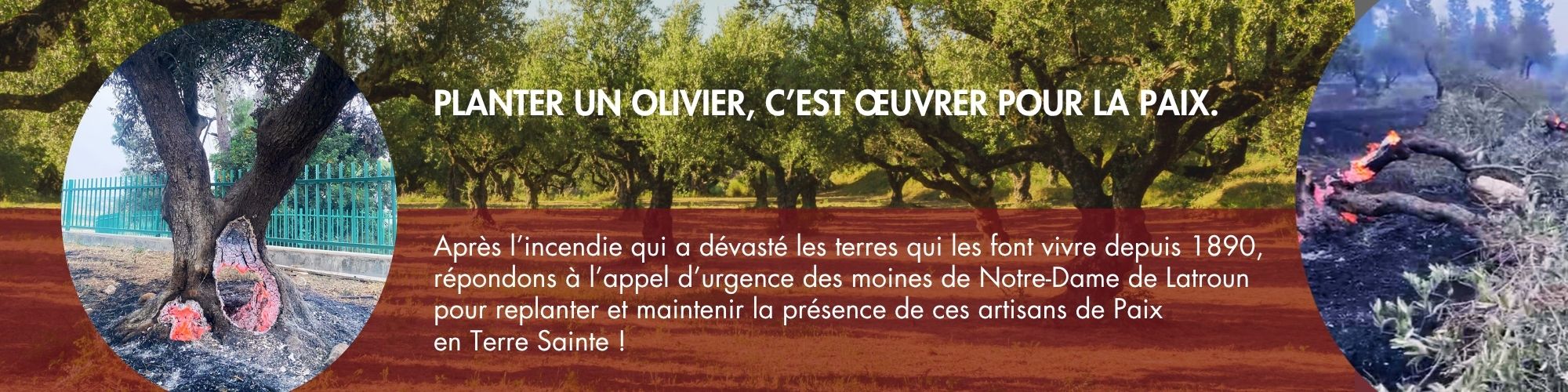 Modèle bannière  (160 x 40 mm) (120 x 30 mm) (24 x 6 cm)